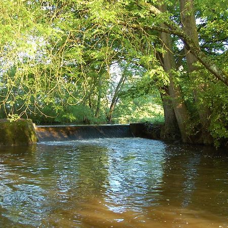 Vignoux-sur-Barangeon Le Moulin Neuf Bed & Breakfast エクステリア 写真