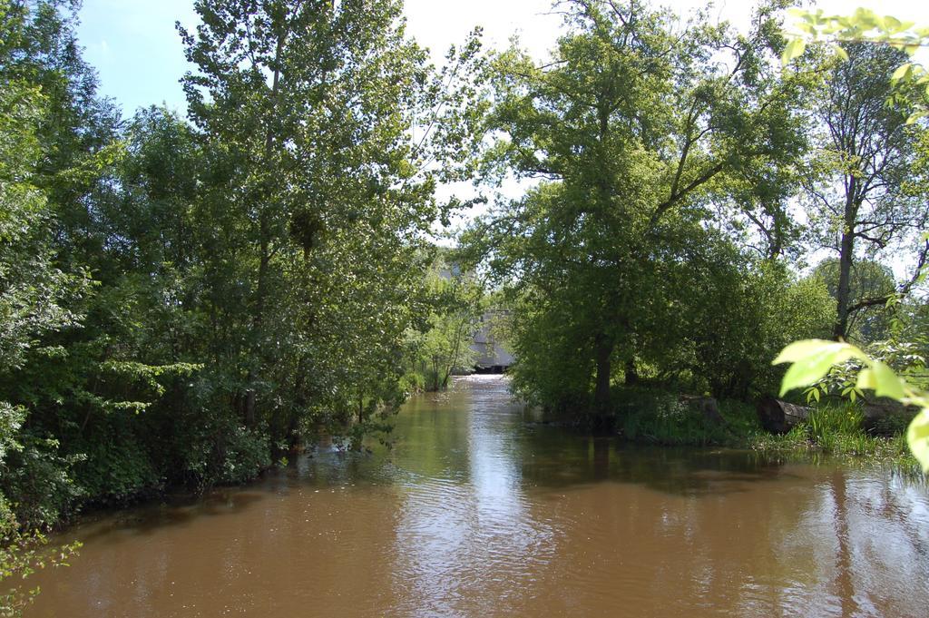 Vignoux-sur-Barangeon Le Moulin Neuf Bed & Breakfast エクステリア 写真