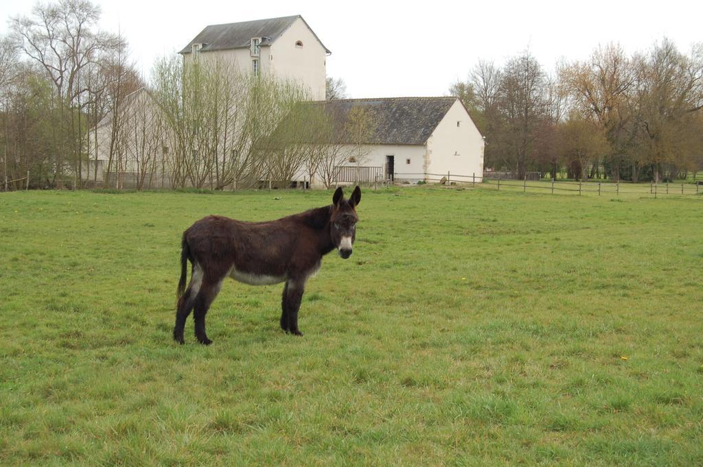 Vignoux-sur-Barangeon Le Moulin Neuf Bed & Breakfast エクステリア 写真